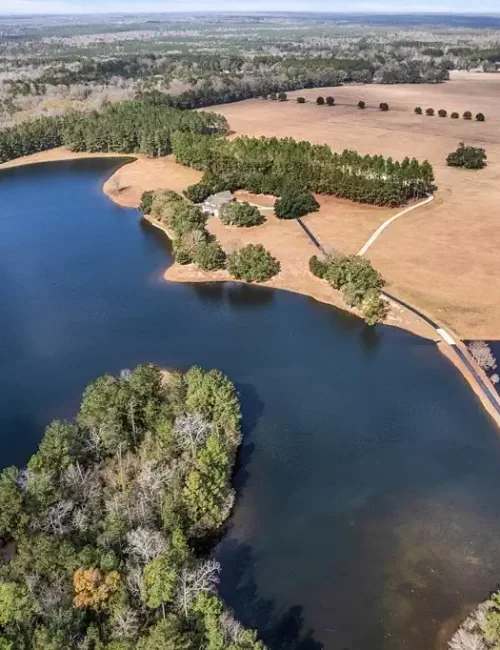 What's my home worth in Carriere, MS